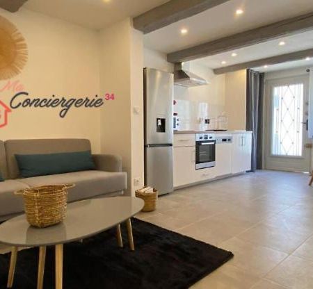 Superbe Appartement Climatise Avec Patio モンペリエ エクステリア 写真
