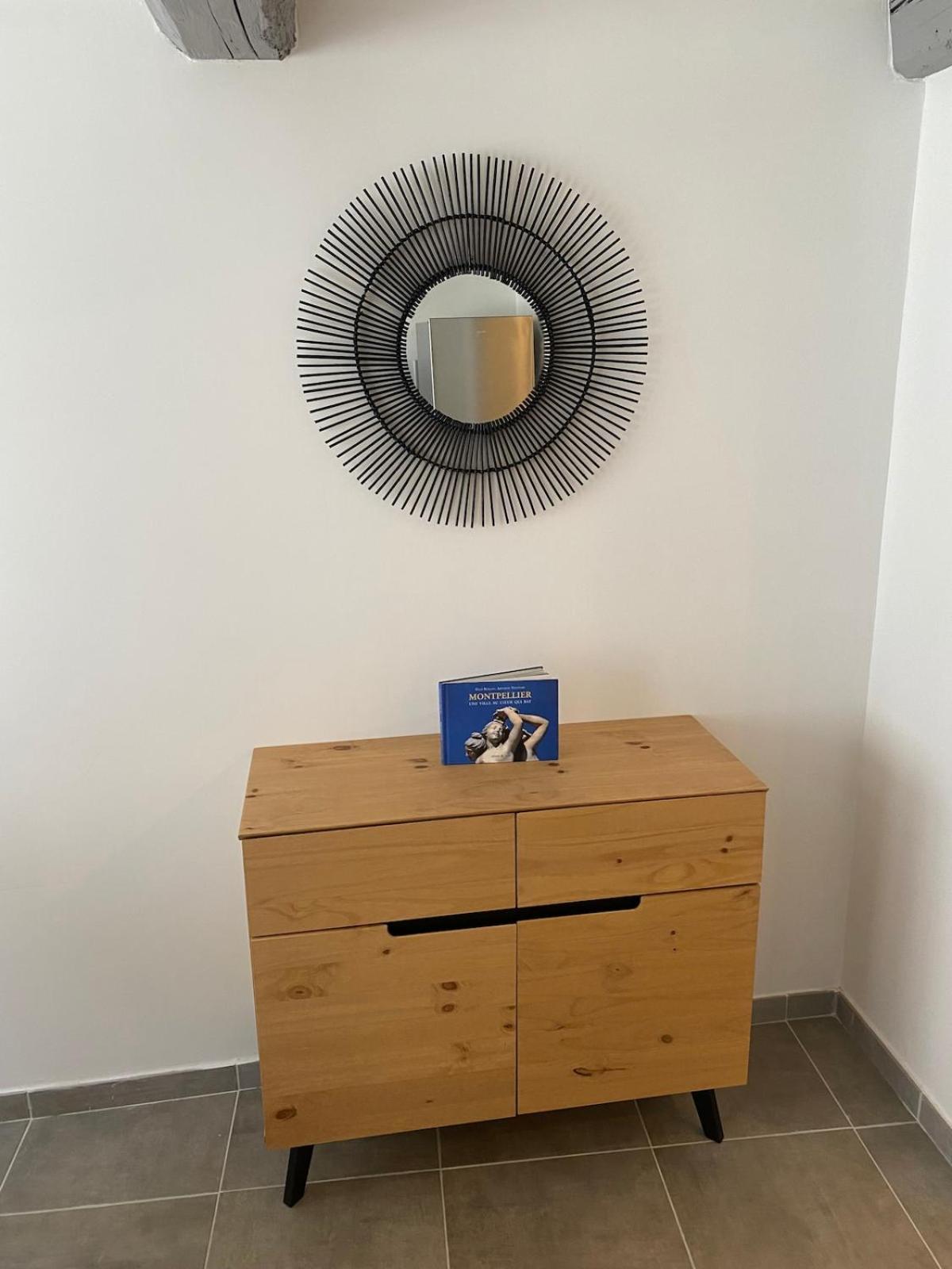 Superbe Appartement Climatise Avec Patio モンペリエ エクステリア 写真